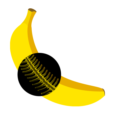 Soutěž Zlatý Banán